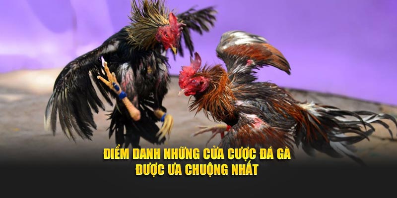 Điểm danh những cửa cược đá gà được ưa chuộng nhất